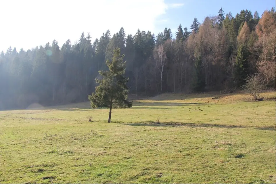 DZIAŁKA 6161 m² | WIDOK NA PIENINY GRYWAŁD | GM.