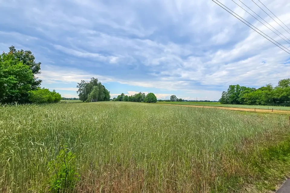 Dzialka – Podłęże
