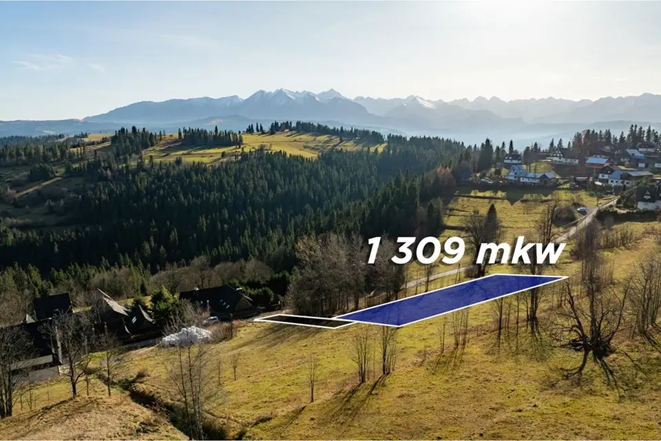 Dzialka – Rzepiska