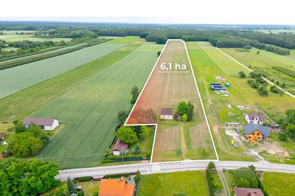Dzialka – Kampinos