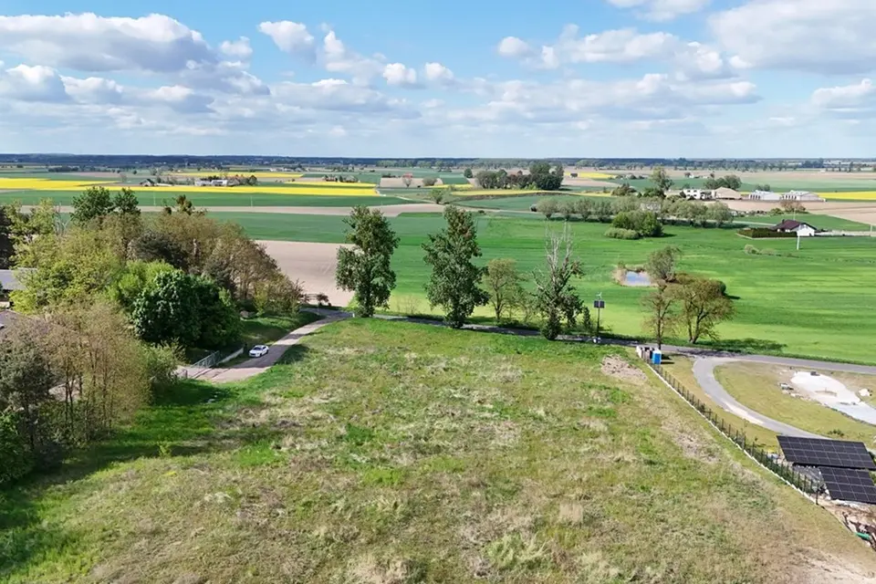 Dzialka – Brzoza