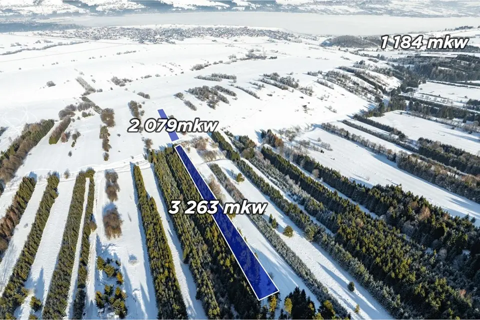 Dzialka – Frydman