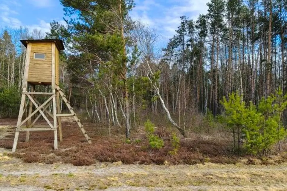 Dzialka – Pustelnik